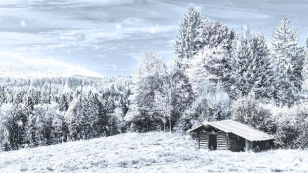 Красивые и прикольные зимние картинки - красочные и удивительные 11