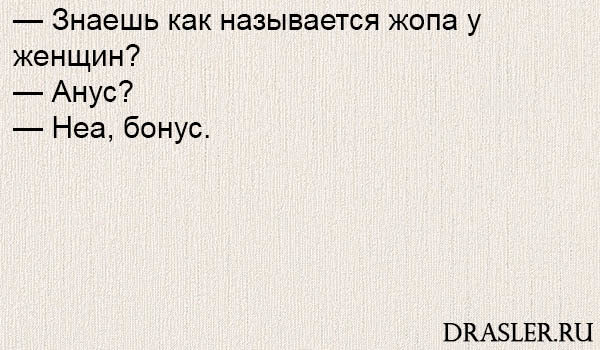 Смешные и ржачные анекдоты до слез 2018 - читать бесплатно №1 8