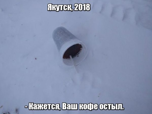 Смешные фото приколы, которые обязательно рассмешат вас - лучшие 12