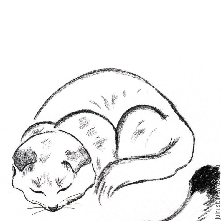 Чёрно-белые рисунки и картинки кошек, котиков - коллекция 8