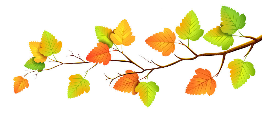Прикольные картинки осенних листьев для оформления - подборка 9