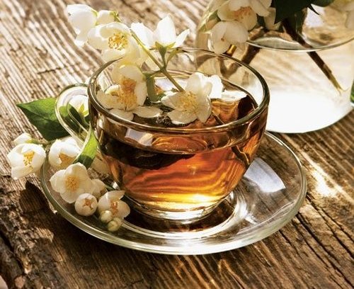 Жасминовый чай - польза и особенности употребления 1