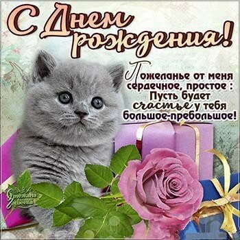 Поздравления С Днем Рождения Женщине С Котами