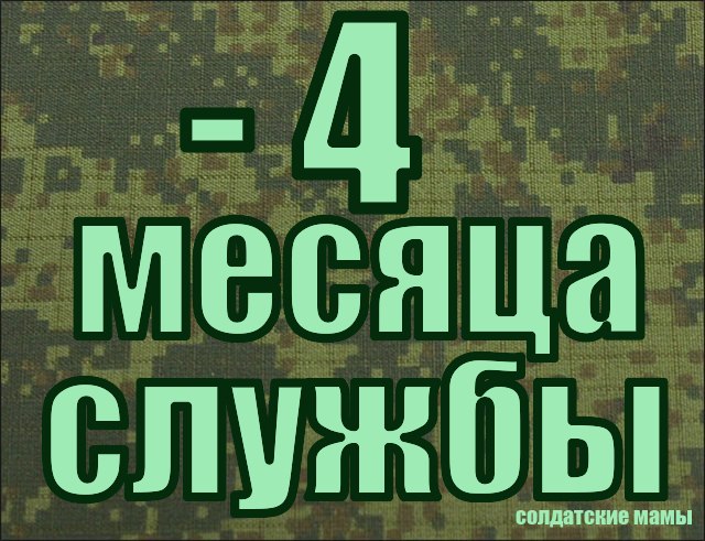 4 Месяца Службы В Армии Поздравления