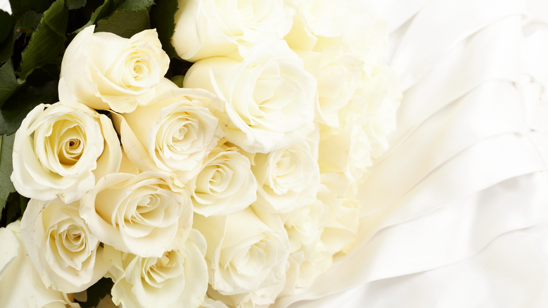 С Днем Рождения Белые Цветы Поздравления