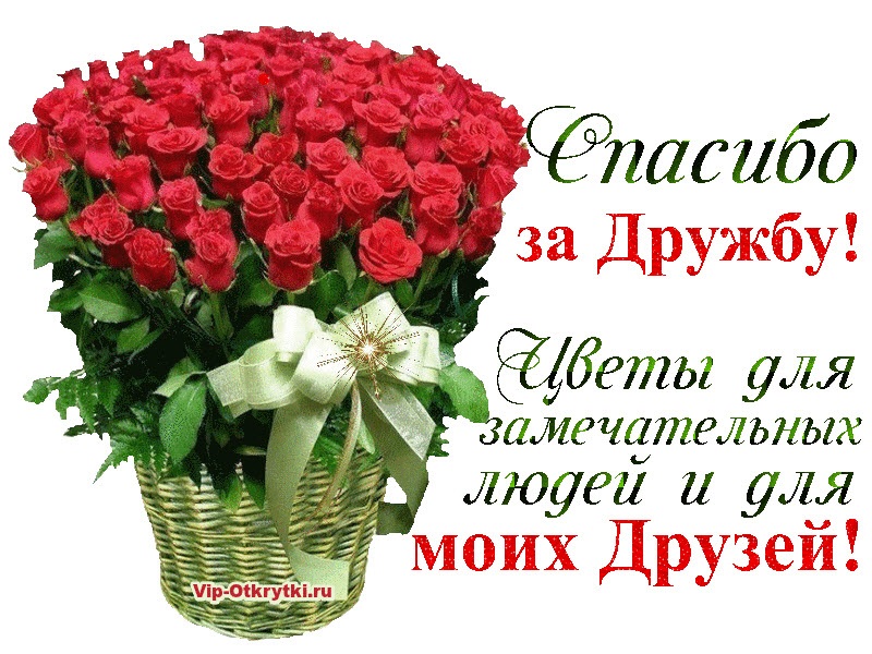 Поблагодарить Друзей За Поздравление В Одноклассниках