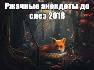 Смешные и ржачные анекдоты до слез 2018 - читать бесплатно №1 заставка