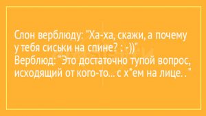 Веселые и смешные анекдоты для хорошего настроения - сборка №7 9