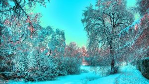Красивые картинки на заставку про зиму и снег - подборка 16