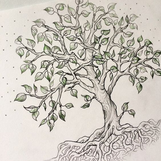 Дерево рисунок прикольная подборка картинок 20 штук (12)