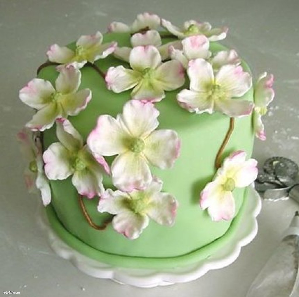 Цветы из мастики на торте фото