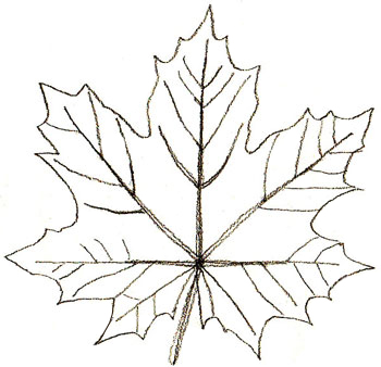 Как нарисовать осенний букет из листьев поэтапно   подборка картинок (19)
