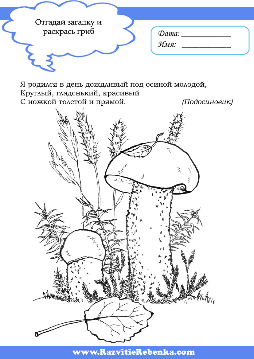 Картинка раскраска подосиновик для детей