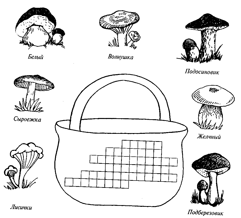 Грибы съедобные и несъедобные картинки для детей с названиями раскраски