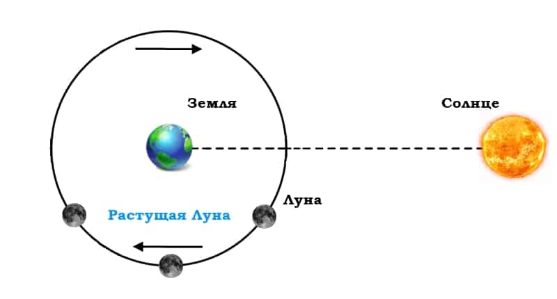 Схема солнца и земли и луны