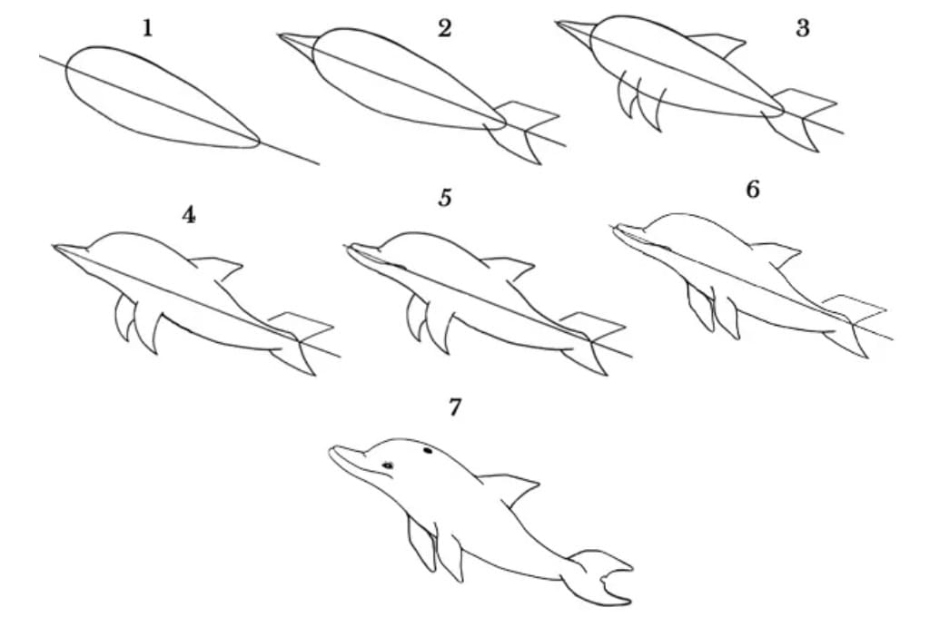 Как нарисовать дельфина легко и просто
