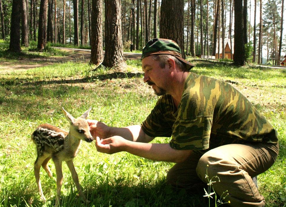 Лесник фото для детей