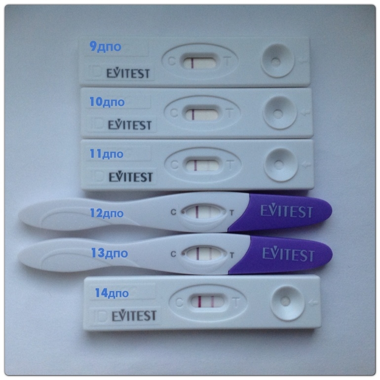 Тест 14. 14 ДПО тест на беременность струйный тест. 11 ДПО эвитест струйный. Тест на беременность эвитест 10дпо. Эвитест струйный 14 ДПО.