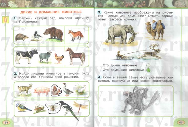 Дикие и домашние животные 1 класс перспектива презентация