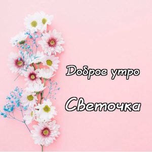 Доброе утро светочка картинки