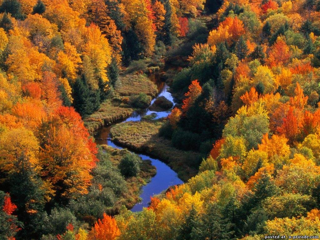 Осень Природа Реальные Фото