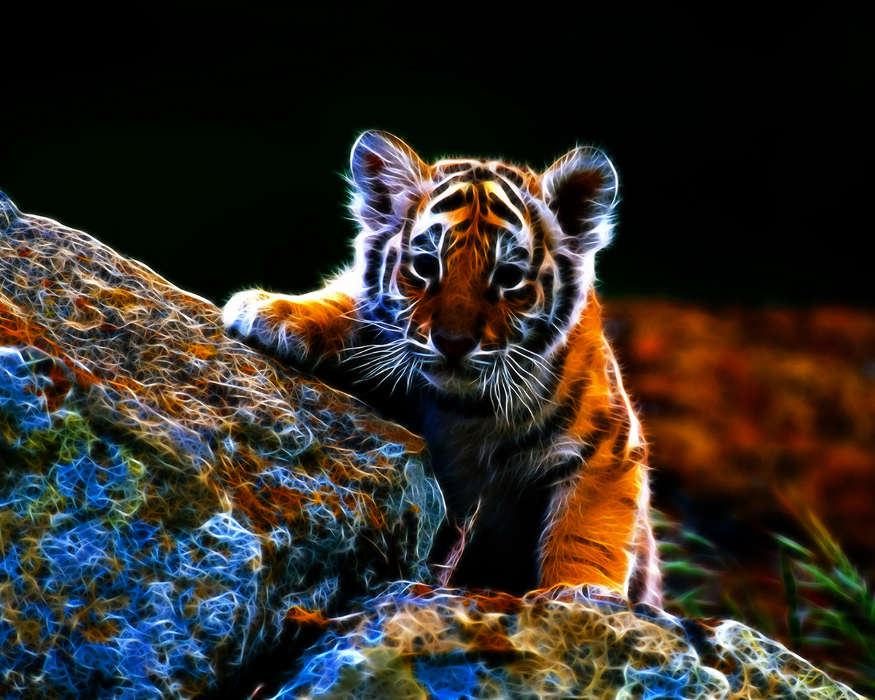 Красивый Тигр Фото Скачать Бесплатно