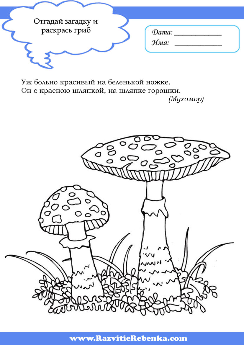 Грибы съедобные и несъедобные картинки для детей с названиями раскраски