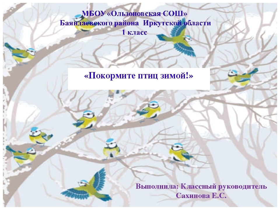 Проект покормите птиц зимой 3 класс