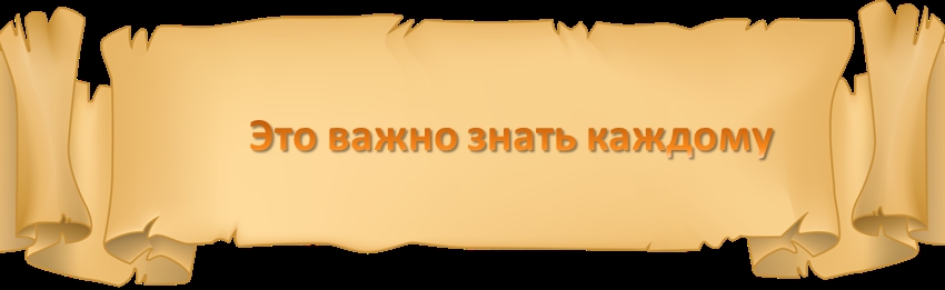 Что нужно знать картинка