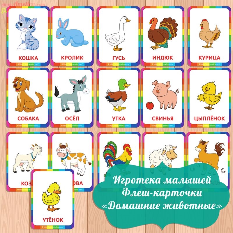 Игра с карточки с картинками для детей