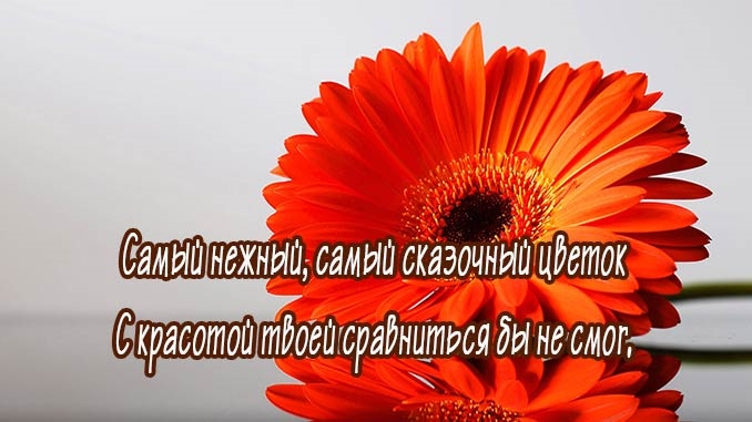 Комплименты для фото