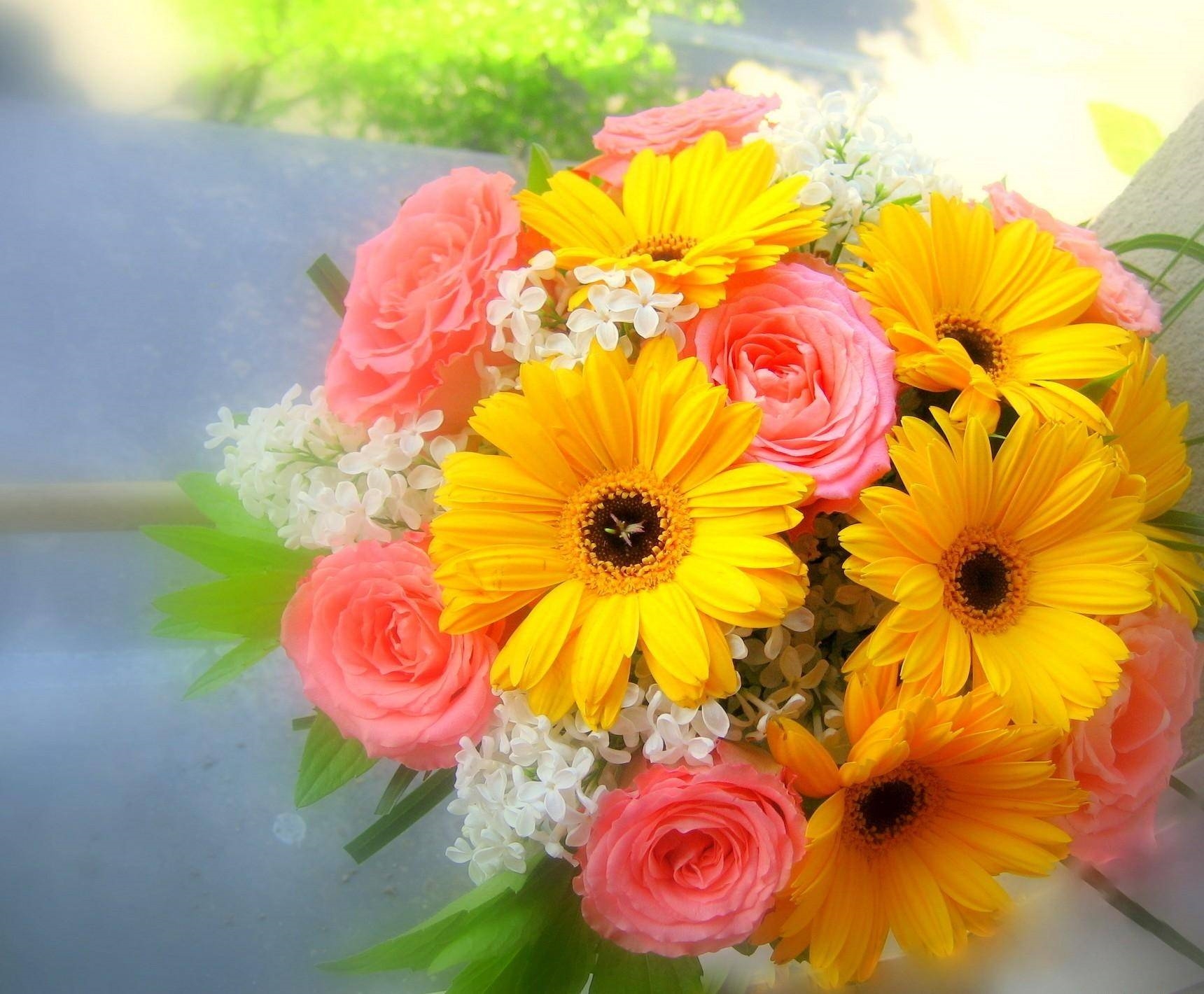 Красивые цветы на заставку телефона   скачать бесплатно (2)