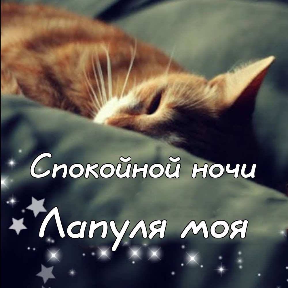 Включи станцию спокойной ночи. Спокойной ночи. Спокойной ночи котик мой. Сладеньких снов. Спокойной ночи Настенька.
