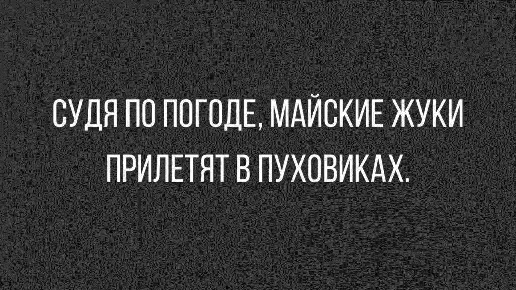 Майские жуки прилетят в пуховиках картинки