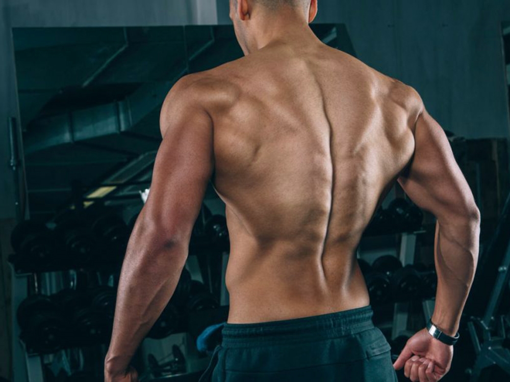 Мышцы спины человека фото мужчин