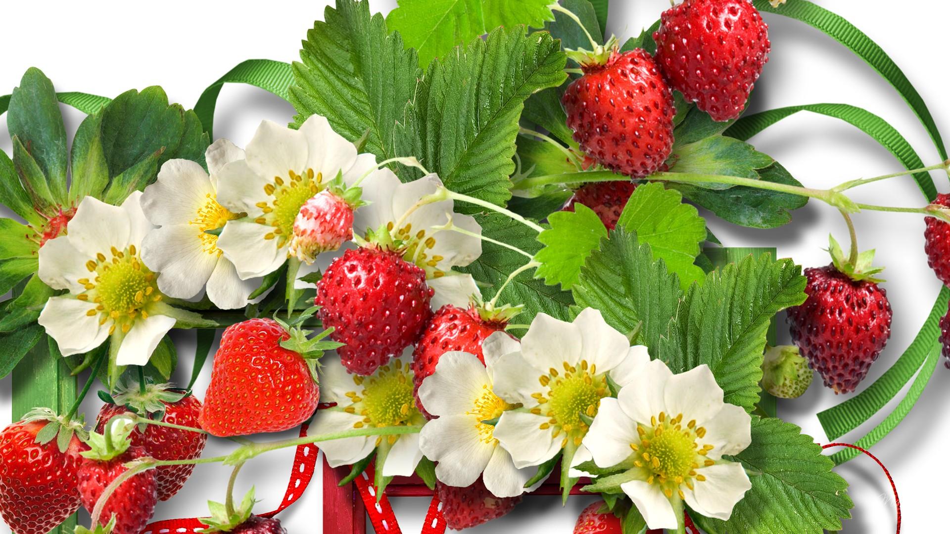 Открытка ягодки. Клубника. Цветы и ягоды клубники. Цветочки ягодки. Лето ягоды цветы.