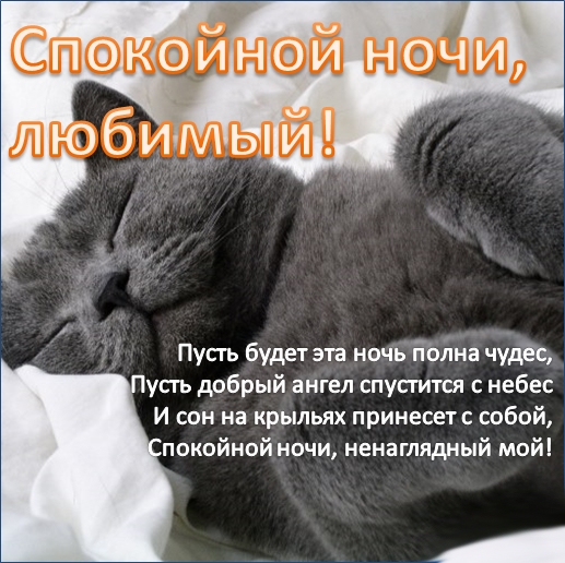 Открытки мальчик мой любимый 011