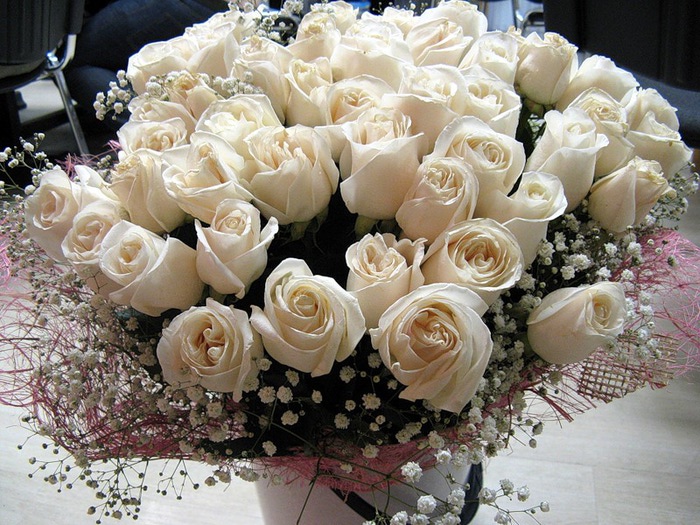 Открытки с Днем Рождения с белыми розами подборка (15)