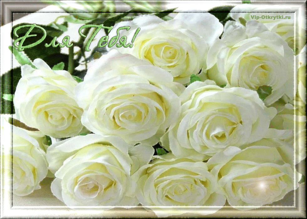 Фото с днем рождения белые розы фото