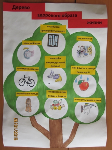 Проект по здоровому образу жизни в детском саду в средней группе