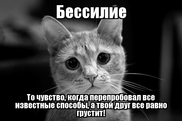 Где все фото. Где все картинки прикольные. Где все?. Где картинки. Вы где все картинки прикольные.