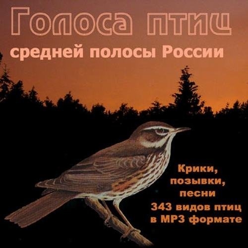 Голоса птиц с названиями средней полосы россии слушать с фото