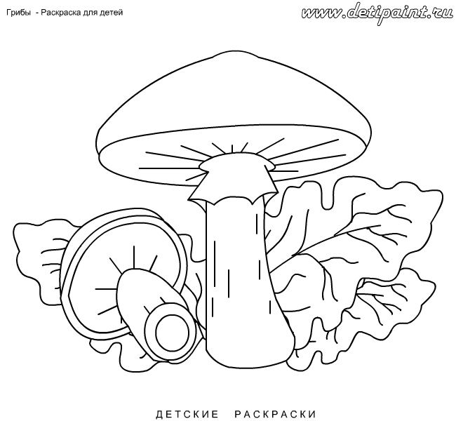 Маслята рисунки для детей