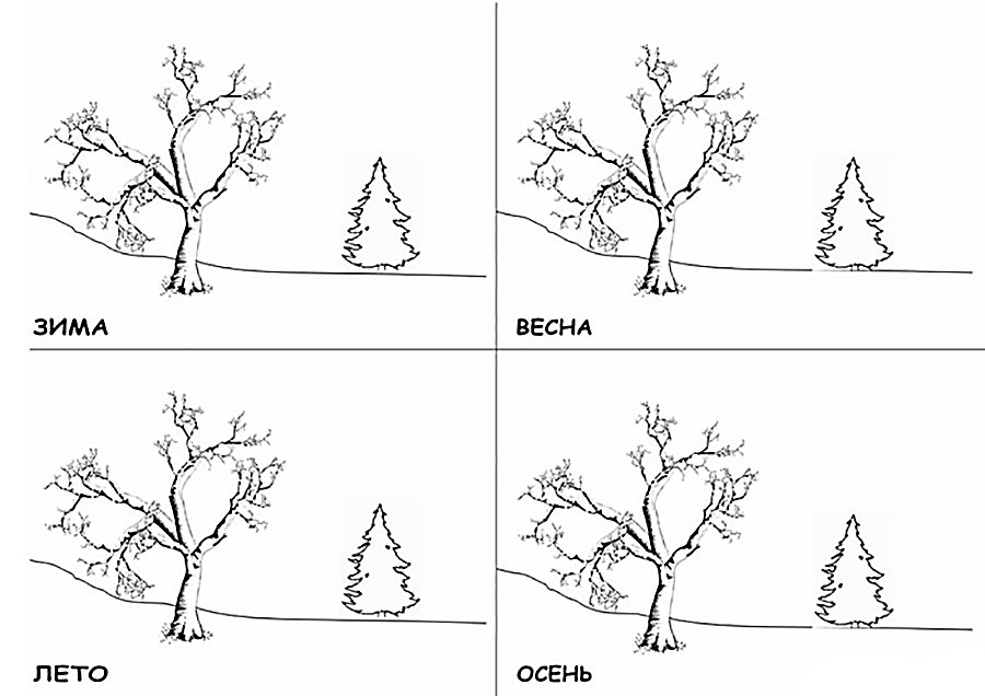 Какие картинки подходят к каждому из времен года соедини линиями ответ