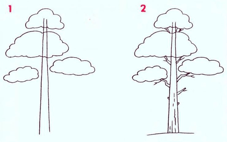 Рисунок лес карандашом для детей 2 класс