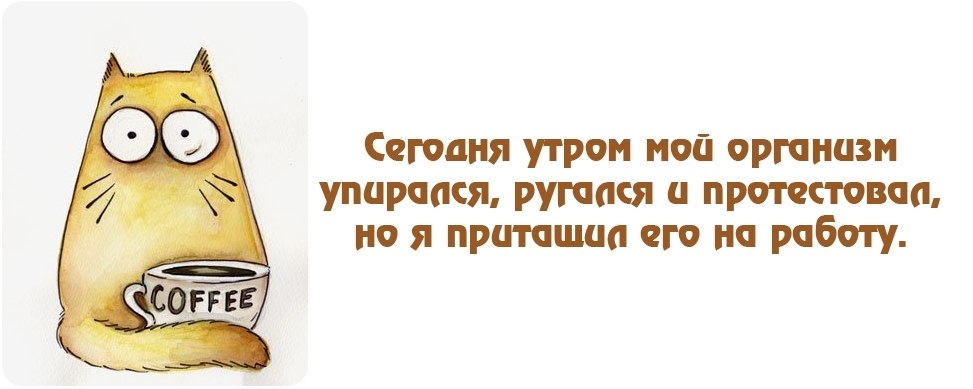 Доброе утро на работе смешные картинки