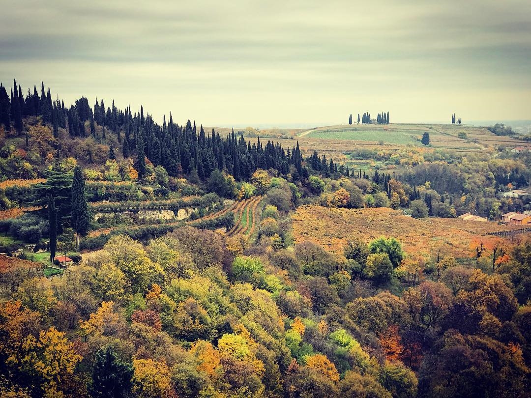 Краснодар тоскана. Крымская Тоскана. Тоскана кипарисы фото. Тоскана Крым фото. Венето Тоскана фото.