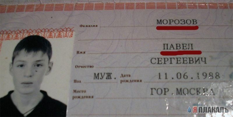 Фото на паспорт михайловка