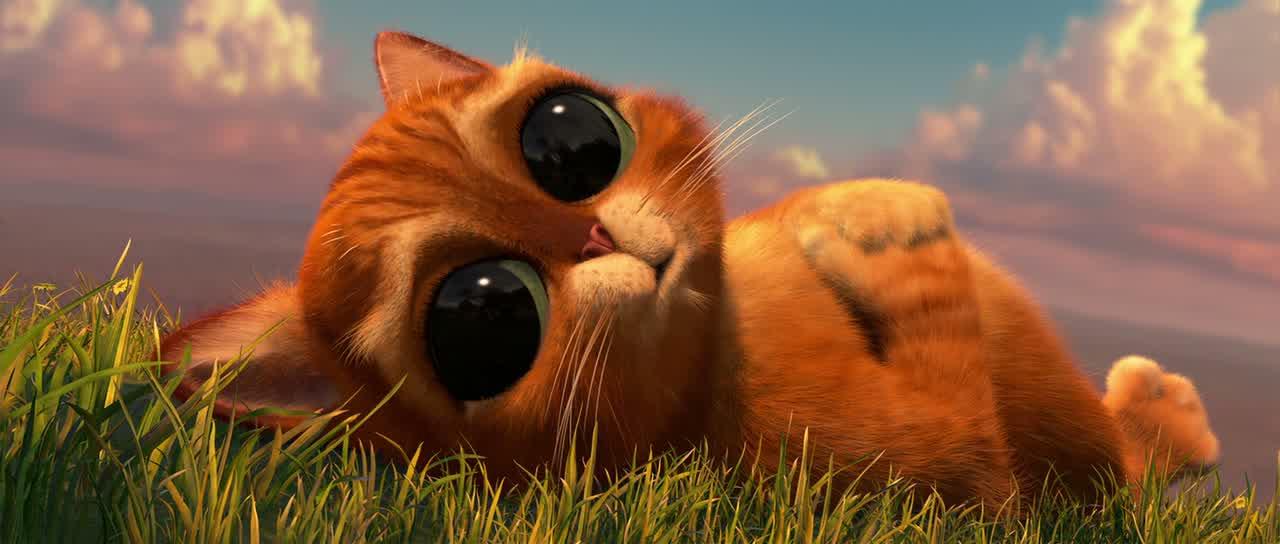 Кот с сапогах с глазами фото