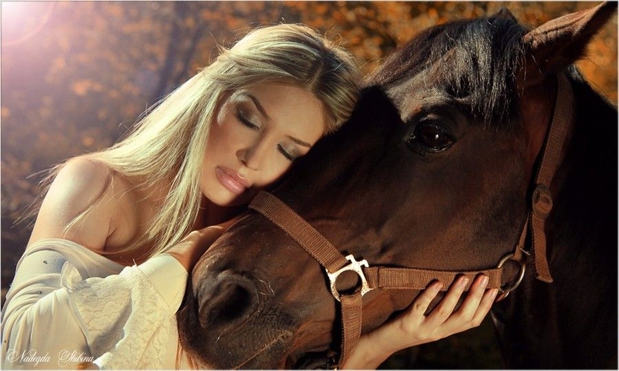 Фото лошадей с девушками